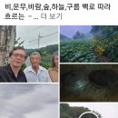 푸른새벽캠프장 이미지