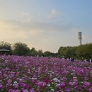 흰 구름 몰