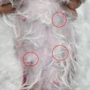 잠실종합동물병원 이미지