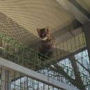 자연으로 이미지