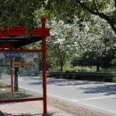 이팝나무 펜션 이미지