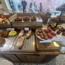 퍼피라떼 이미지