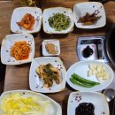 둥지생오리 이미지