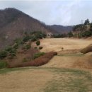 원주센추리스크린골프 이미지