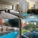 메종 글래드 제주  실외수영장 | 제주도 호텔 추천 메종글래드 제주 수영장 프리미엄 트윈 호캉스 후기