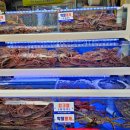 싱싱회 대게왕국 이미지