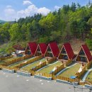 도그라운드 이미지