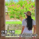 불광 둘레길 관광안내소 | 안동 병산서원 여름 배롱나무 배롱꽃 개화 만대루 입장료 주차 내돈내산 후기