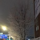 월드컵북로 198-4 네이버블로그