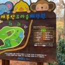 매봉산 유아숲체험원 이미지