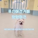 청림동-9 | 봉천동 무인애견카페 멍멍파크, 주차 가능한 서울대입구 24시간 애견카페