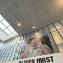 신 성모약국 | 데이미언 허스트 작품평 (국립 현대미술관 전시 후기)