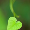 아름다운날 이미지