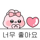 로하스클리닝