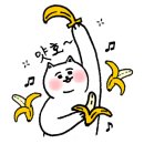자놀자 이미지
