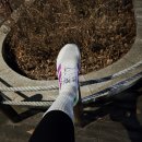 성내천공원 | 53번째 러닝 기록//26년 첫 러닝 시작//성내천>올림픽 공원 6km구간