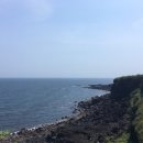 성산백양
