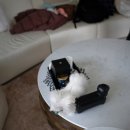 퍼피트렌드 이미지