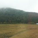 고랑정미소 이미지