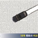 장기렌트카 스포츠경향