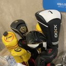 재림스크린골프 이미지