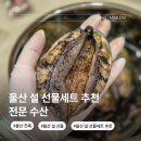 참조은전복수산 | 울산 설 선물 세트 전문수산 전복 명절 가성비 내돈내산 추천