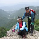 천성산가는길 이미지