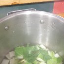 로만토피아오름추억 이미지