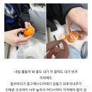 문독 | 언제까지