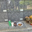 한솔장례예식장식당 | 재는 재로, 흙은 흙으로(애도일기 1)