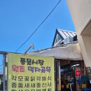 한어부와바다 | 내돈내산 강릉 주문진항 풍물시장 어부와바다 오징어회 고등어회