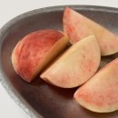 홍백농장 네이버블로그