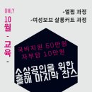 메리엔젤라