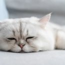 무지개테크 이미지