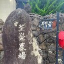 부영농장 | [제주] 제주도에 열린 특별한 팝업 ‘부영농장’