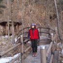 속리산말티재자연휴양림 이미지