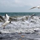 행복한요양원 이미지