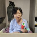 은빛동물병원 이미지