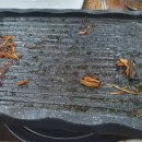 삼오삼겹살 이미지