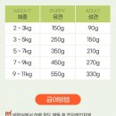 브라보 마이펫 이미지