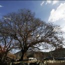 박물관로 이미지