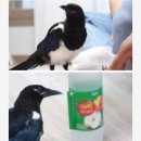 까치농장 푸드 이미지