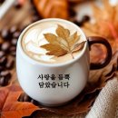 차한잔