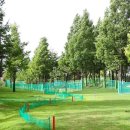 수지아르피아 이미지