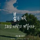 나우.스터디카페 이미지