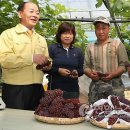 김진근농장 이미지