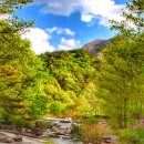 요산요수 이미지