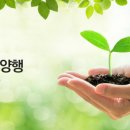 주식회사 한미