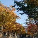 창신대학교 부동산대학원 이미지