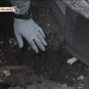 거안농장